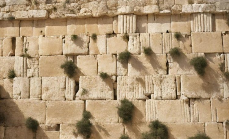 מרגש: החטופות ששוחררו אמרו ברכת הגומל ומזמור לתודה בכותל המערבי מרגש: החטופות ששוחררו אמרו ברכת הגומל ומזמור לתודה בכותל המערבי