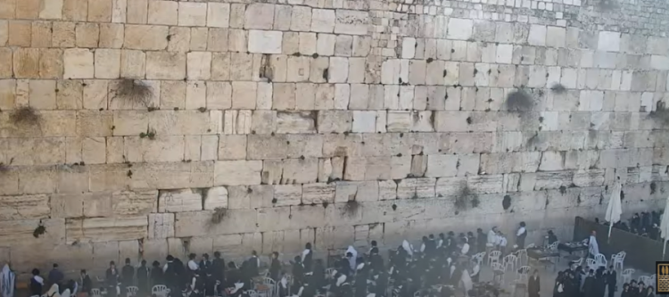 היכנסו עכשיו לשידור החי מרחבת הכותל - מעמד התפילה האדיר למען החטופים היכנסו עכשיו לשידור החי מרחבת הכותל - מעמד התפילה האדיר למען החטופים