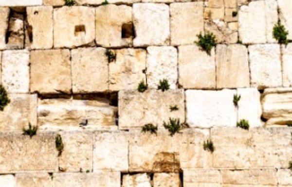 אל תפספסו, ביום חמישי הקרוב: קריאת שמע הגדולה בהיסטוריה היהודית למען השבת החטופים