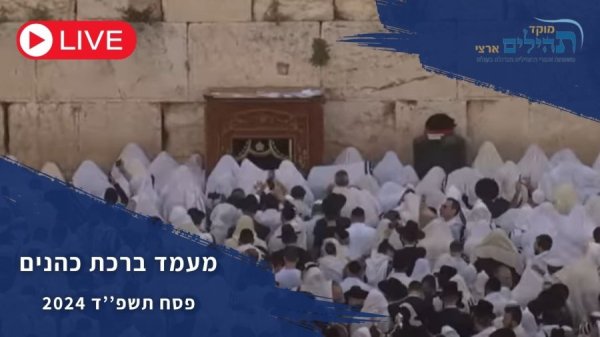 זה קורה עכשיו: הצטרפו אלינו לשידור החי מברכת הכהנים בכותל המערבי!