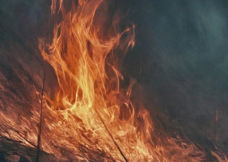 מצמרר: הבת שנשרפה למוות מצאה דרך לתקשר עם אביה. צפו מצמרר: הבת שנשרפה למוות מצאה דרך לתקשר עם אביה. צפו