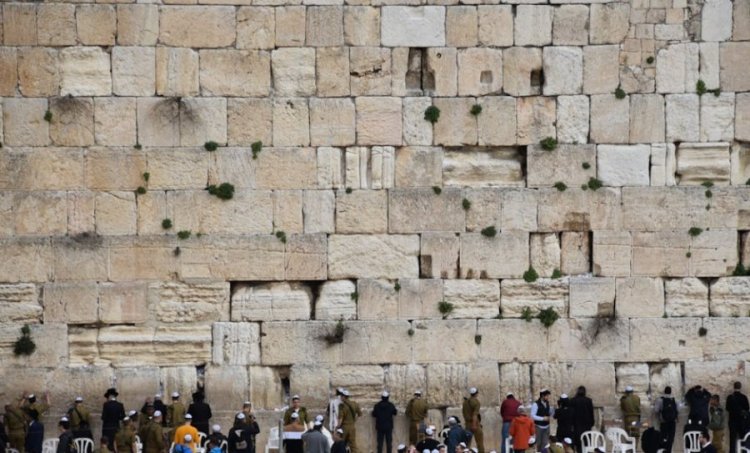 מה זה תהילים בשבילכם? התרגשנו מה זה תהילים בשבילכם? התרגשנו