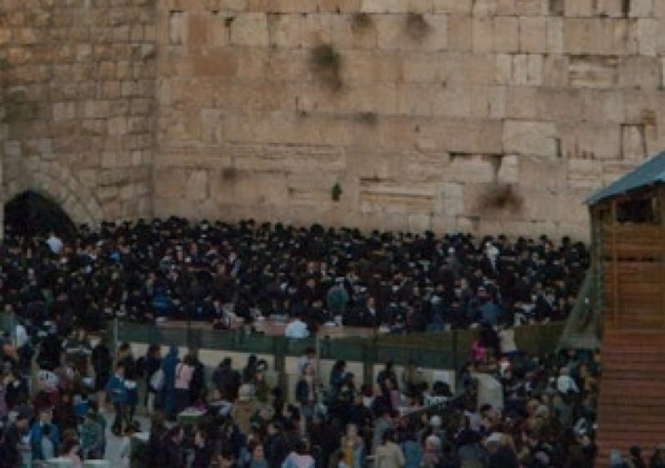 ככה אתם מבטיחים לעצמכם שנה טובה באמת! ככה אתם מבטיחים לעצמכם שנה טובה באמת!
