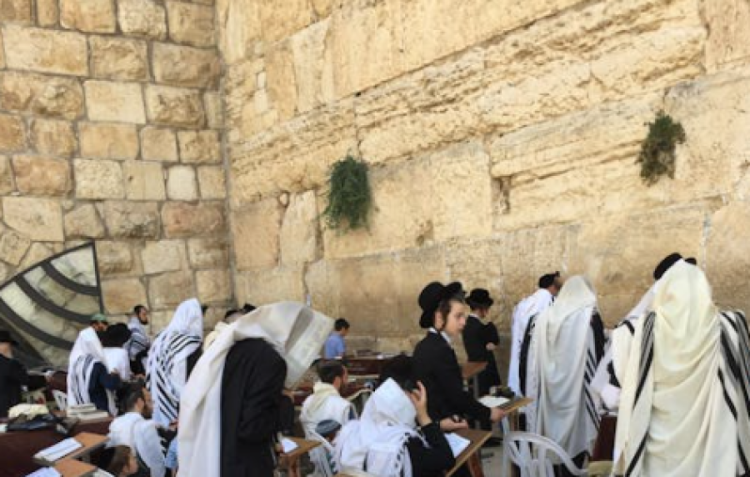 סדר כפרות - נוסח ספרד