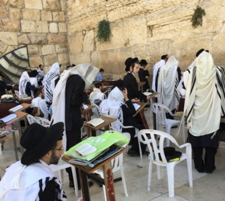 מדוע היהודים שונים מכולם? מדוע היהודים שונים מכולם?
