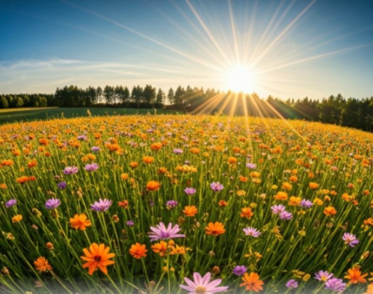 למה יש רוע בעולם? למה יש רוע בעולם?