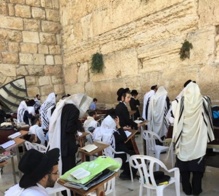 הרב הראשי: הרב הראשי: