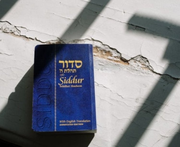 המפורסמת שמתחזקת: המפורסמת שמתחזקת: