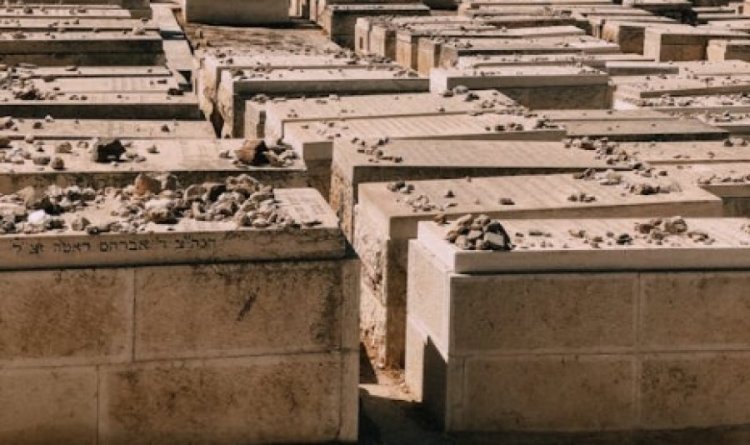 שורדת השבי סופדת לחברתה הטובה: שורדת השבי סופדת לחברתה הטובה:
