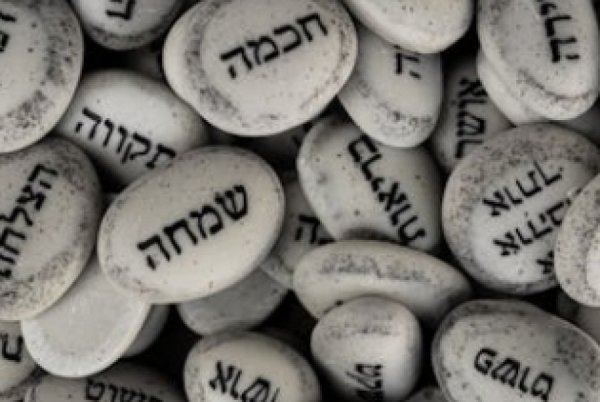 הסלבס שמתחזקות: הסלבס שמתחזקות:
