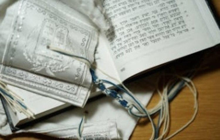 כוכב הרשת: 