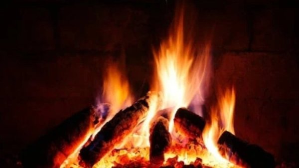 הניצל מהאסון במירון: הניצל מהאסון במירון: