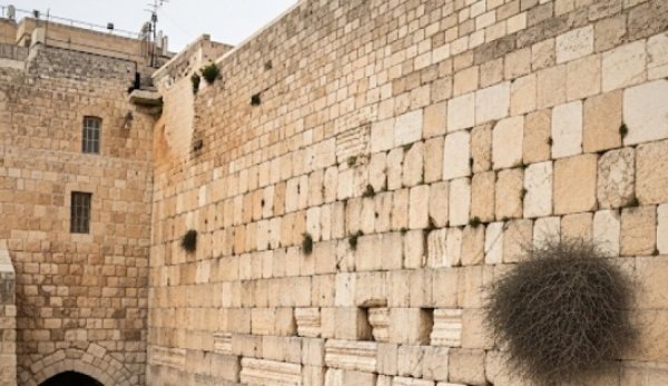 צפו כעת: תפילה מיוחדת בכותל המערבי עם גדולי הרבנים לשמירת ולהצלחת עם ישראל צפו כעת: תפילה מיוחדת בכותל המערבי עם גדולי הרבנים לשמירת ולהצלחת עם ישראל