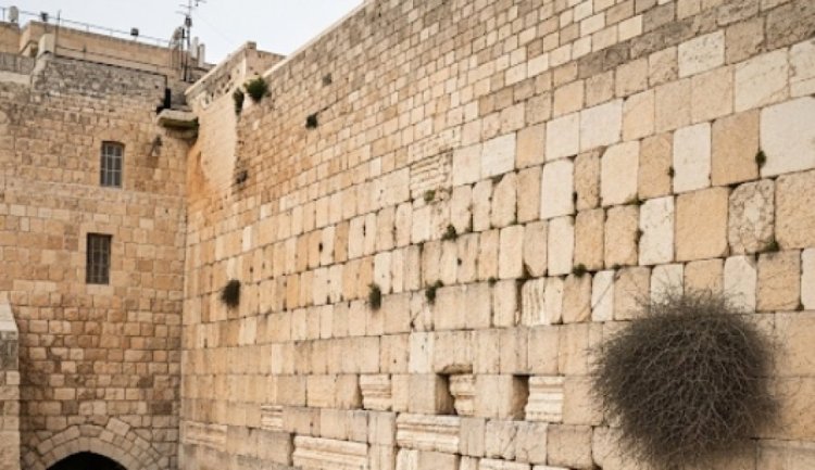 צפו כעת: תפילה מיוחדת בכותל המערבי עם גדולי הרבנים לשמירת ולהצלחת עם ישראל צפו כעת: תפילה מיוחדת בכותל המערבי עם גדולי הרבנים לשמירת ולהצלחת עם ישראל