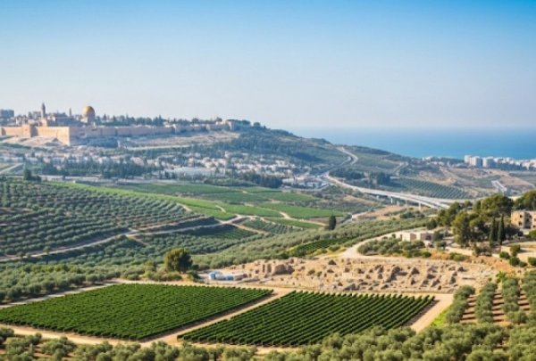 הרבי מלובביץ': הרבי מלובביץ':