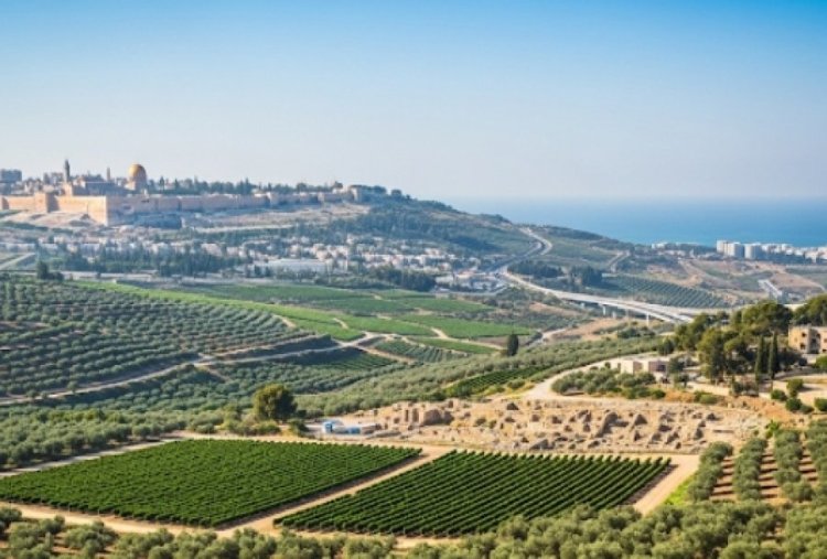 הרבי מלובביץ': הרבי מלובביץ':