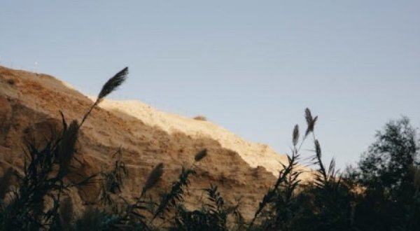 האם בגאולה תהיה לשבט לוי נחלה? האם בגאולה תהיה לשבט לוי נחלה?