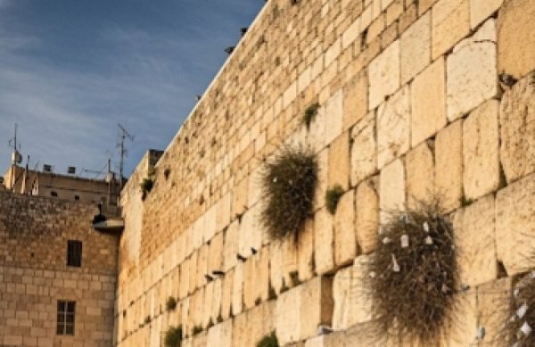 תשעה באב מאחורינו, ועדיין... לא זכינו, האם הדמעות היו לשווא?
