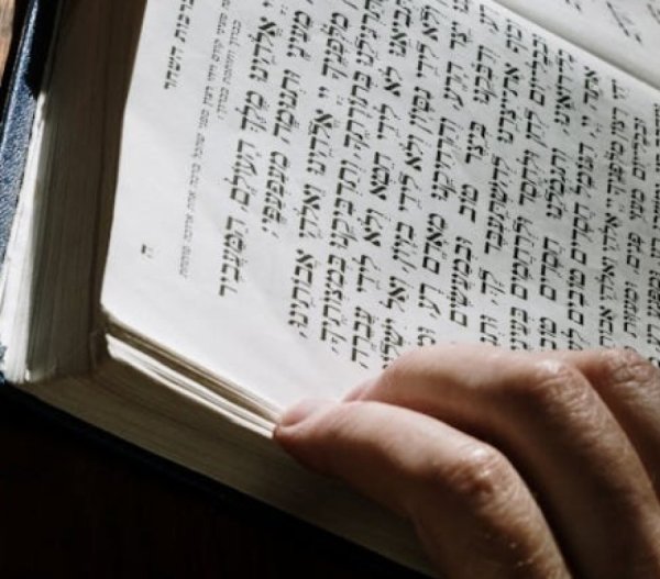 מנחת החדשות: 