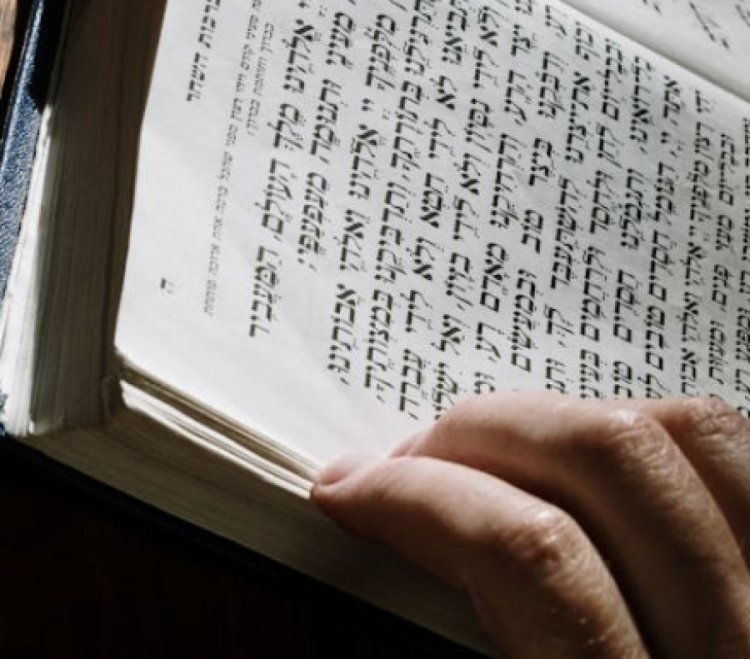 מנחת החדשות: 
