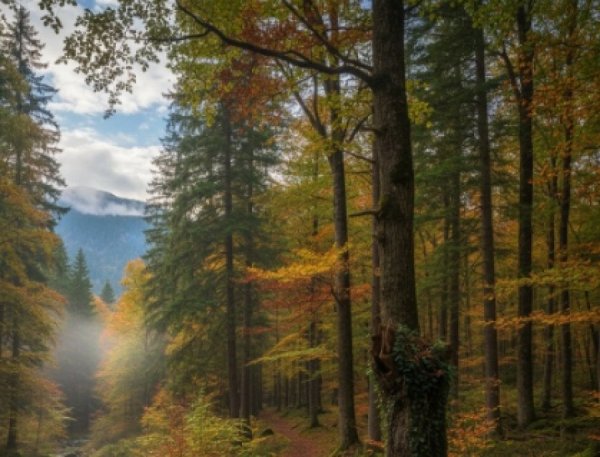 פה מצוי סוד הברכה פה מצוי סוד הברכה