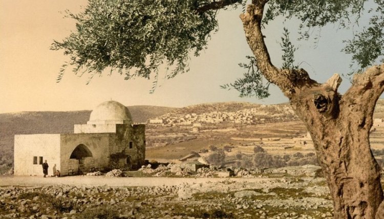 תהילים תהילים