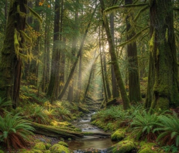 המפורסמת משתפת: 