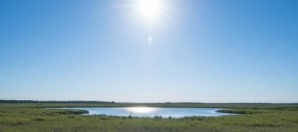 שמתם לב שככל שעובר הזמן הקדושה מתעצמת? שמתם לב שככל שעובר הזמן הקדושה מתעצמת?