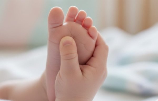 זו הסיבה שיעקב החזיק בעקבו של עשיו