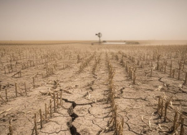 הרב שמואל אליהו: הבצורת באיראן היא נבואה הרב שמואל אליהו: הבצורת באיראן היא נבואה