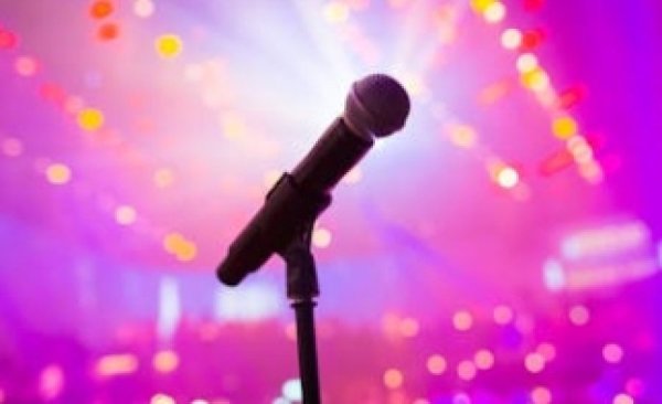 הזמרת המפורסמת: 