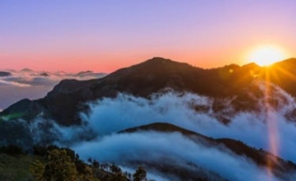 כיצד שרד יעקב אבינו את עשיו ולבן?