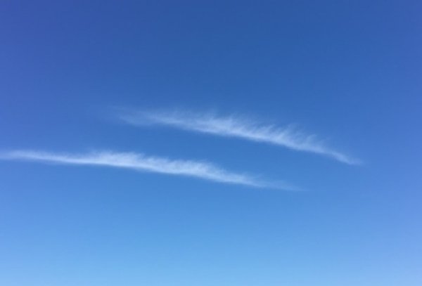 שורד הנובה בעדות מטלטלת: 