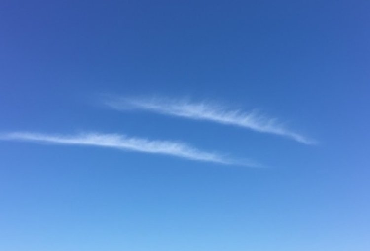 שורד הנובה בעדות מטלטלת: שורד הנובה בעדות מטלטלת: