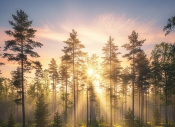 רוצים נס? זו הדרך להביא אותו רוצים נס? זו הדרך להביא אותו