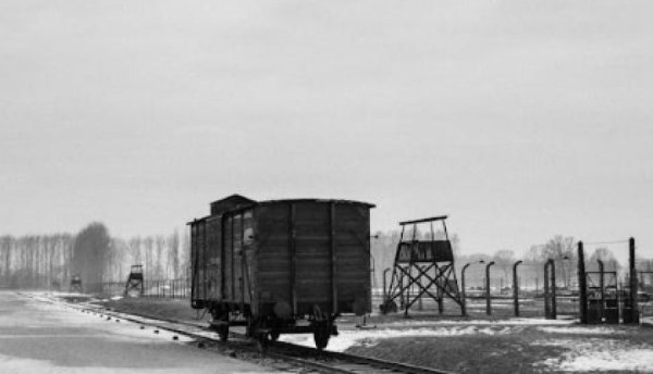 ניצול השואה שזכה לחימשים: 