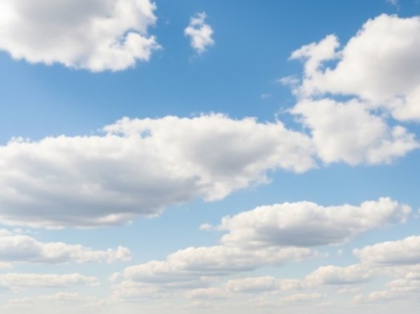 האב השכול על מות בנו: 