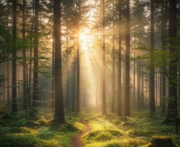 המהפכה באיראן והקשר שלה לגאולה