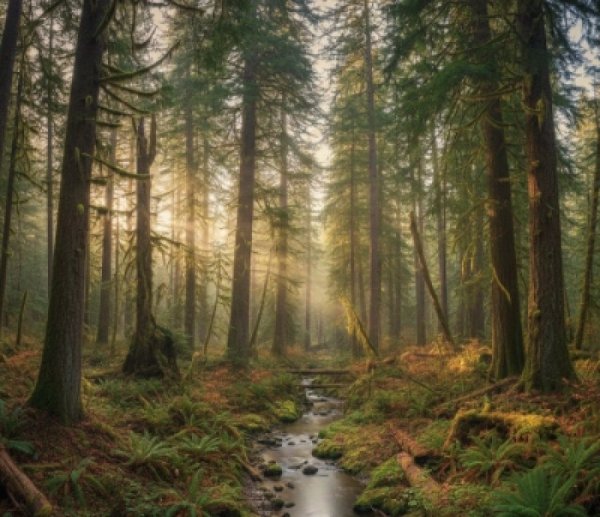 מה הקשר בין שם ה' המוחלט לגאולה? מה הקשר בין שם ה' המוחלט לגאולה?