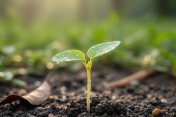 מרגישים יבשים? הסוד של ט