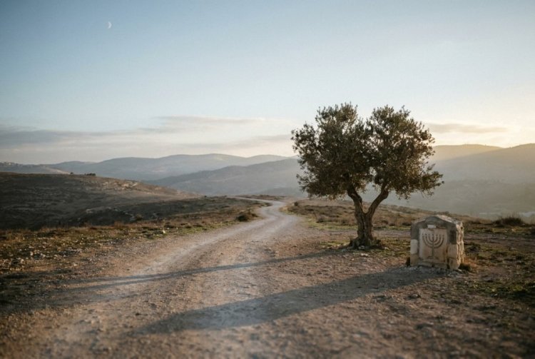 הצל שלא זז מימינכם: מה מסתתר ב״ה׳ צלך על יד ימינך״ הצל שלא זז מימינכם: מה מסתתר ב״ה׳ צלך על יד ימינך״
