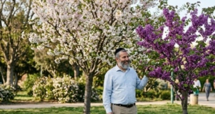 ברכת האילנות 2026 - מתי אומרים, הנוסח המלא ולמה זו הברכה הנדירה בשנה ברכת האילנות 2026 - מתי אומרים, הנוסח המלא ולמה זו הברכה הנדירה בשנה