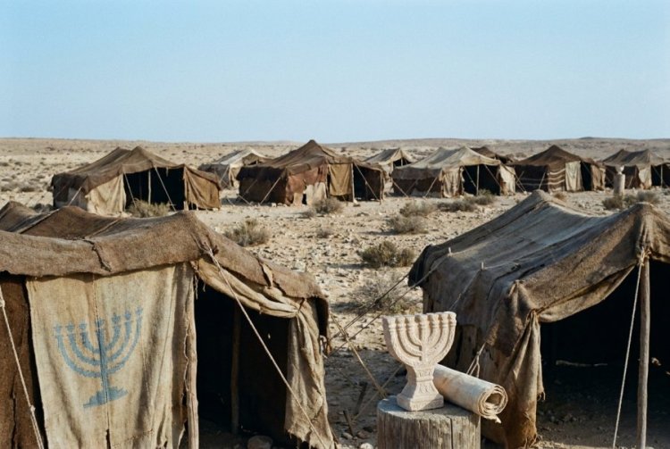 ארבעים שנה חפרו קבר בכל לילה בלי לדעת אם יקומו בבוקר - עד הלילה שבו הכול השתנה