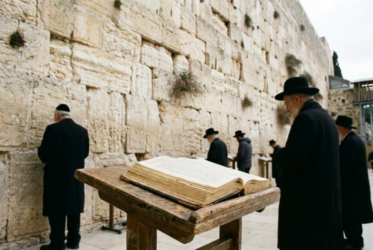 צה צה