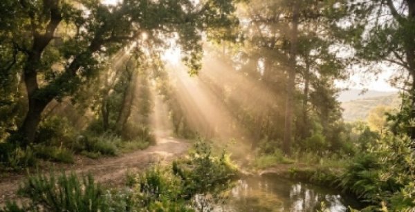 5 דברים שתעשו ב-א' ניסן שיכולים לשנות לכם את כל השנה