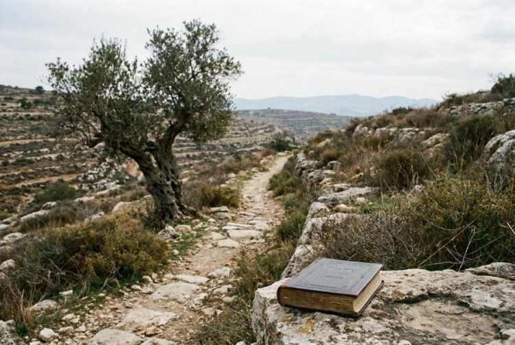 איך מונעים מהמצוות להפוך להרגל? מה שהשפת אמת למד מ איך מונעים מהמצוות להפוך להרגל? מה שהשפת אמת למד מ