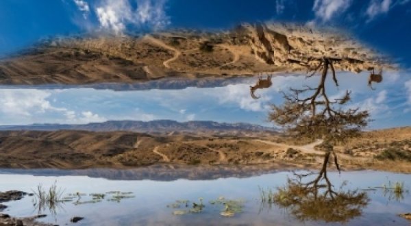 פורים הוא הזמן בו חוקי הטבע מתבטלים